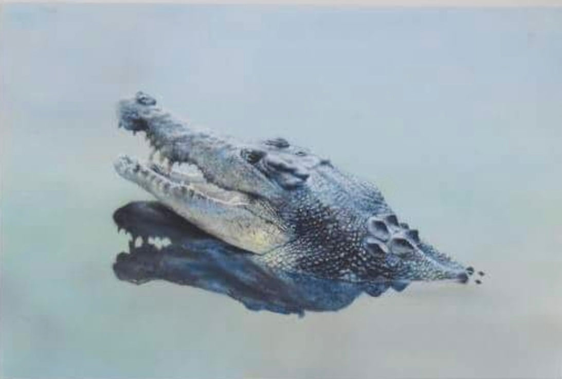 Crocodile art- mixed media color