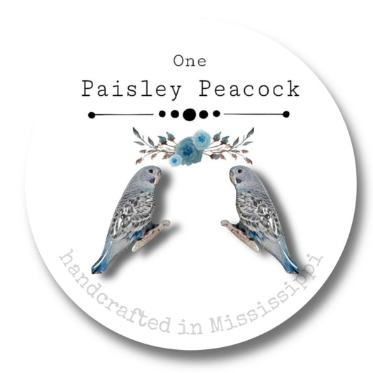 Bird earrings-blue budgie
