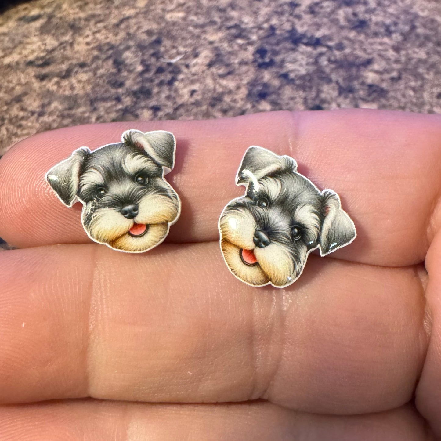 Dog Stud Earrings-schnauzer