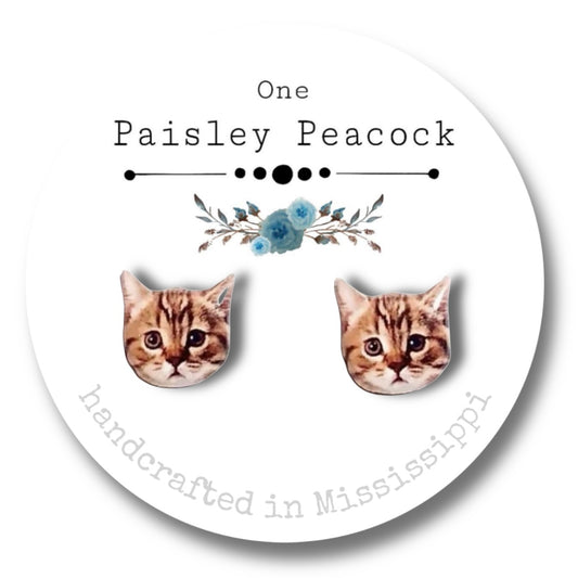 Cat Stud Earrings-tabby kitten