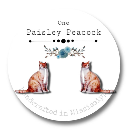 Cat Stud Earrings-Orange body