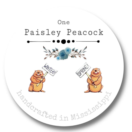 Stud earrings-ground hogs day