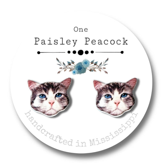 Cat Stud Earrings-Blue Eyed