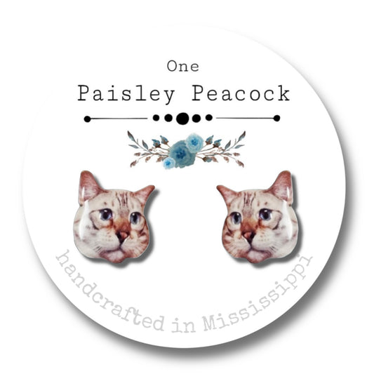 Cat Stud Earrings-Tom Cat