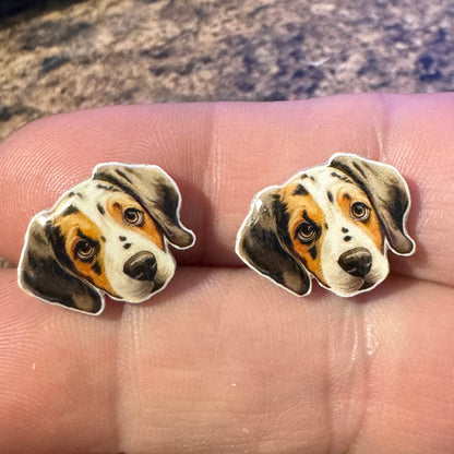 Dog Stud Earrings-beagle