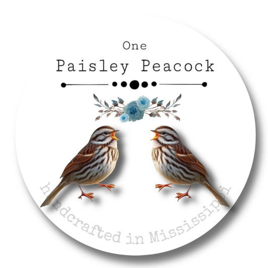 Bird earrings-song bird