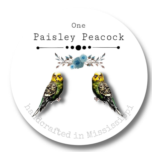 Bird earrings-green budgie