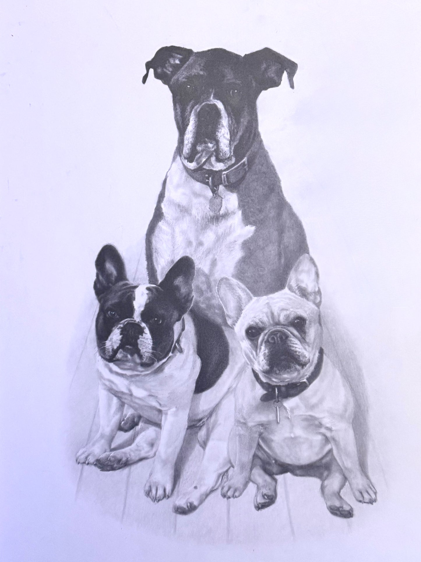 Custom Pet Portrait by artist Randy Biffle