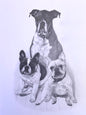 Custom Pet Portrait by artist Randy Biffle