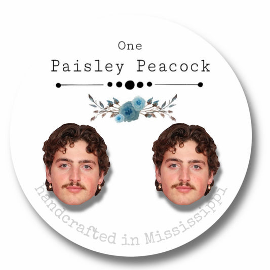 Celebrity earrings-Boone